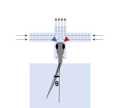 Microfluidics-based system for chemical delivery and imaging