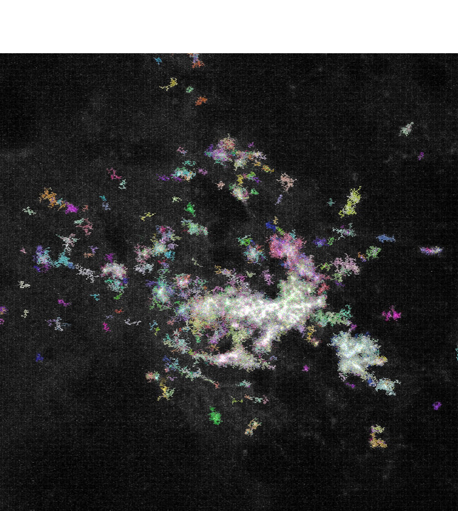 In vivo astrocyte imaging